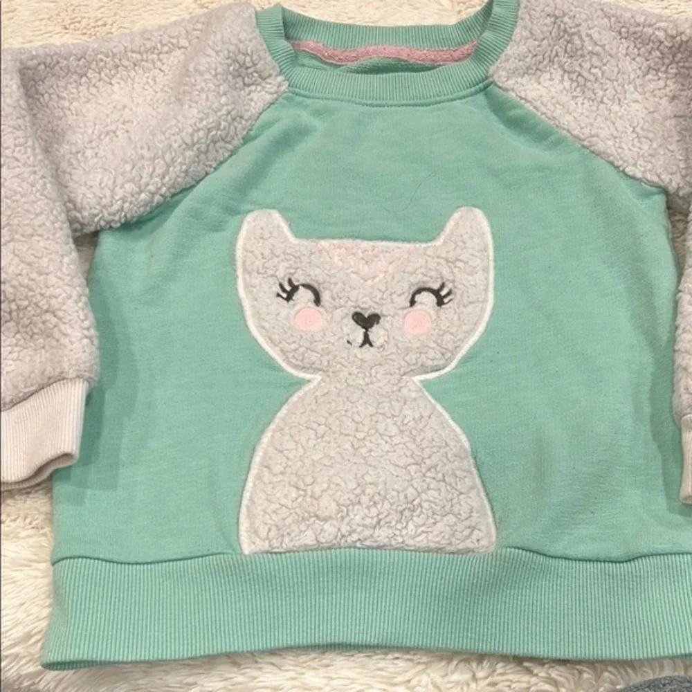 Cat & Jack Mint and Gray Cat Sweatshirt